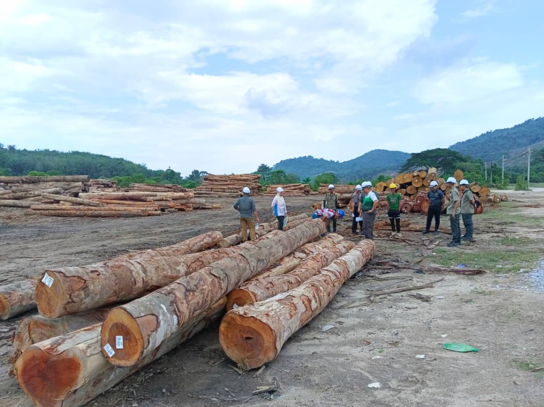 Bukit Slim Forest Plantation 5