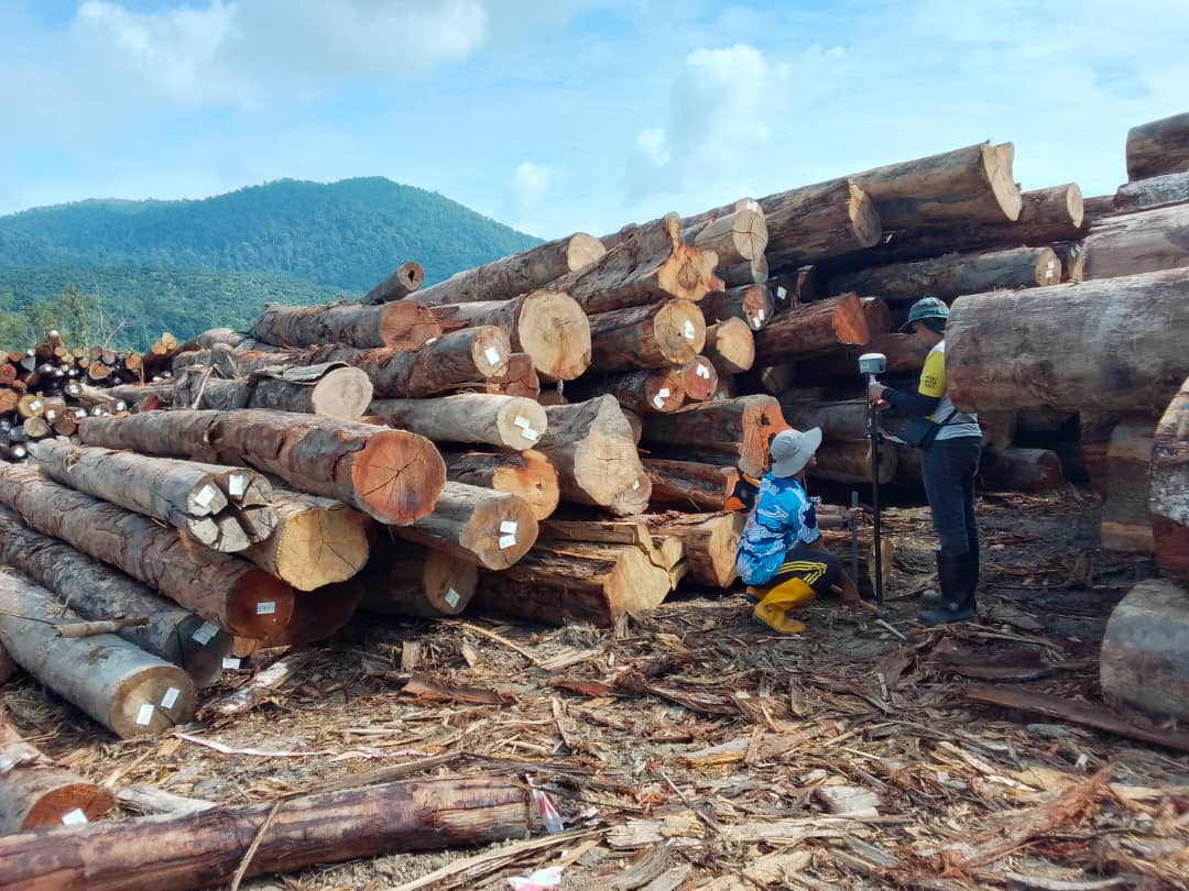 Bukit Slim Forest Plantation 6