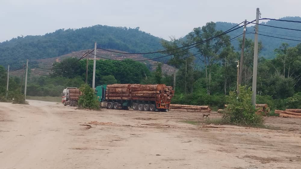 Bukit Slim Forest Plantation 8